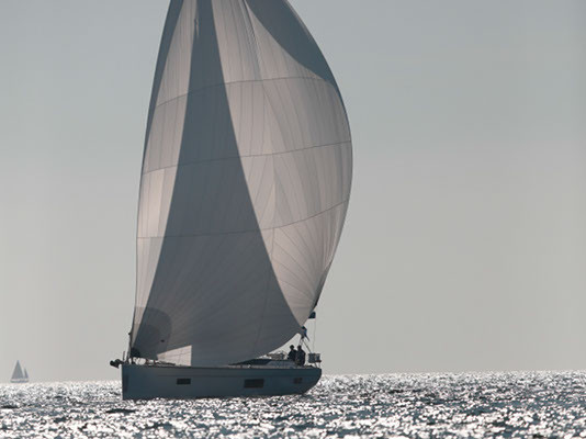 Deutscher Company Cup I Mitsegel-Regatta auf 57 Fuß Yacht I Flensburger Förde von 