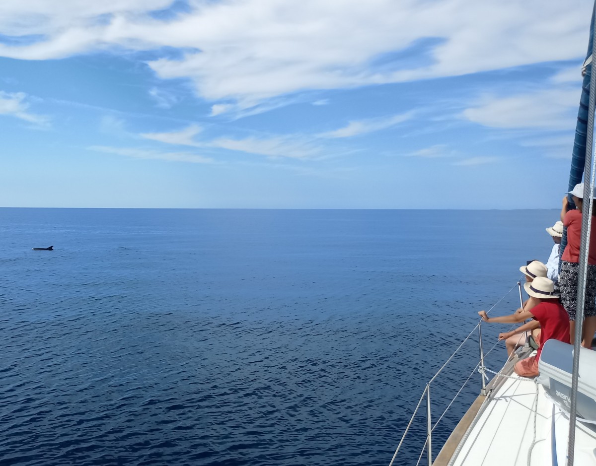 Family sailing from Istria to the Kvarner Gulf by
