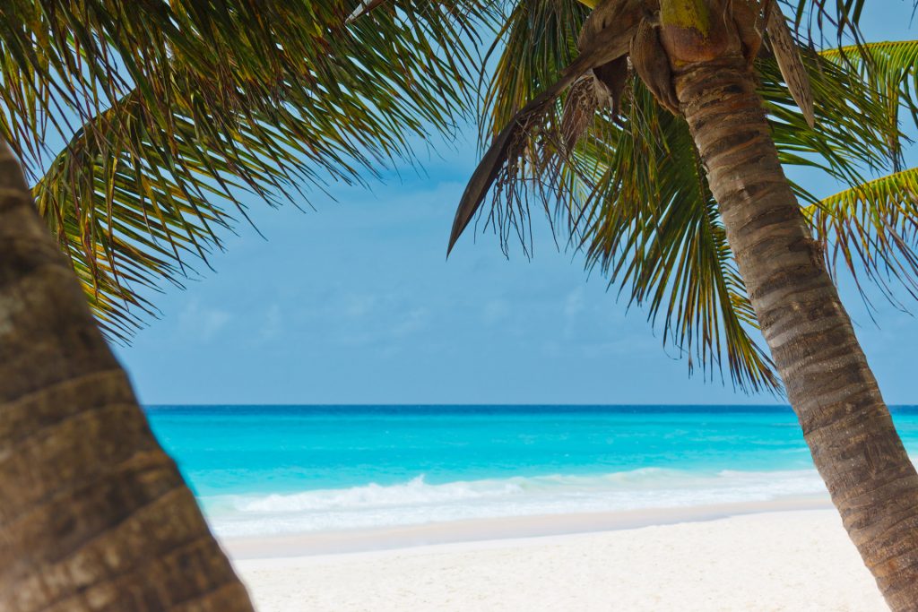 Sailing in the dream destination Caribbean – 4 cabins, 4 bathrooms by