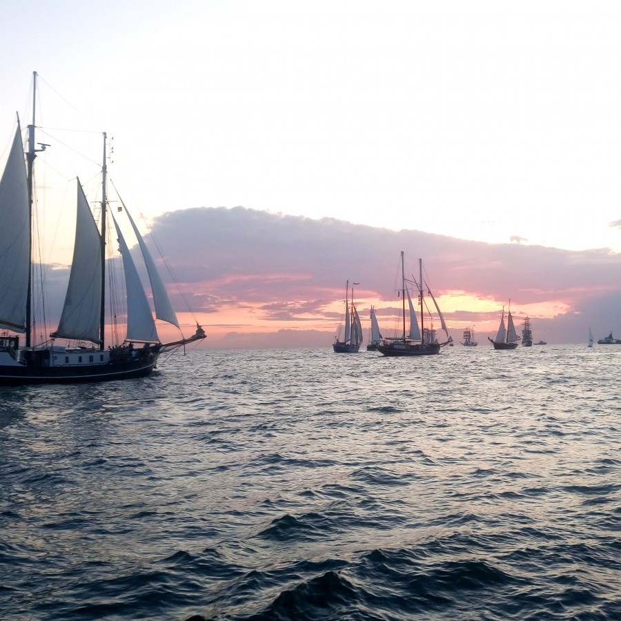 Active sailing at the Hanse Sail 2027 in Rostock – Sailing for everyone by Albin Köbis Segeln