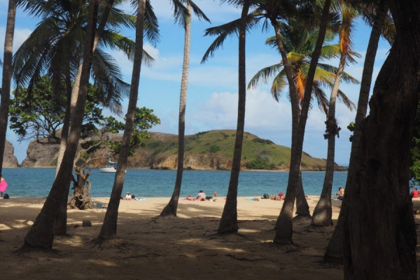 Traumhafter Karibiksegeltörn ab/an Fort de France/Martinique zu den Tobago Cays von 