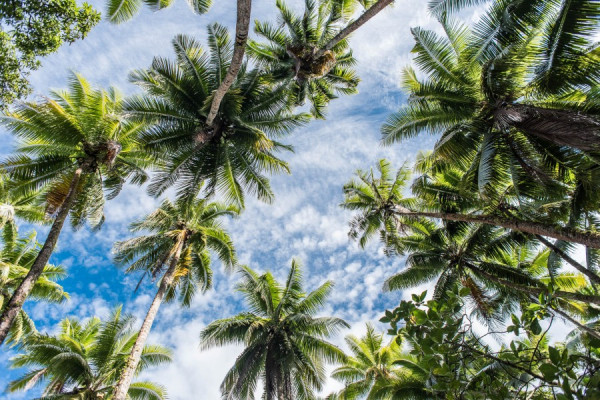 Südsee – Marquesas – Nuku Hiva – Tuamotus, Sabbatical „all in“ von 