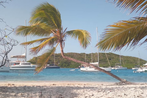 Entspanntes Segeln mit Live-aboards in der Karibik von 