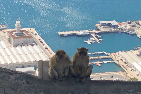 +++Soul Sail Gibraltar – Teneriffa Törn mit Luxus Katamaran+++ von 