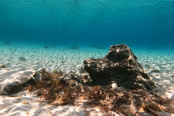 Meer erleben: Peloponnes Umsegelung, von der Ägais ins Ionische Meer von 