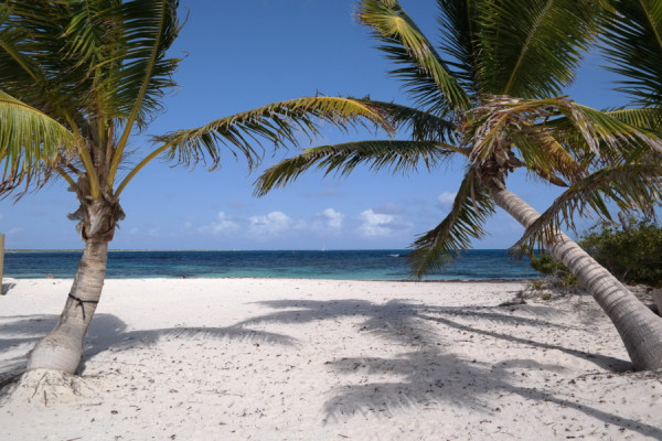 Karibische Traumstrände, türkises Wasser, entspannter Urlaub – Antigua & Barbuda von 