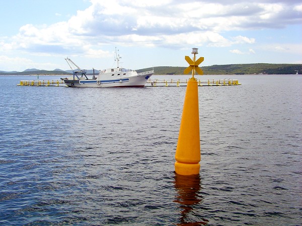 Skippertraining – Starkwindsegeln von 