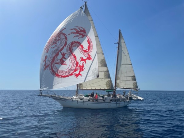 Genusssegeln auf einem Klassiker, Elba, Sardinien, Korsika Giglio, Capraia von Engelsailing