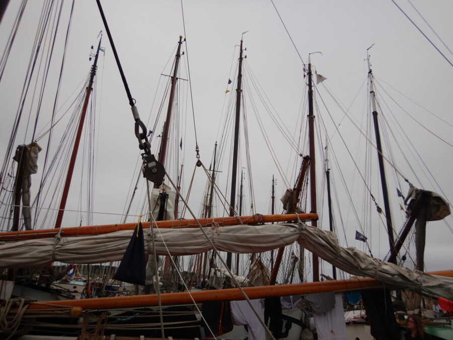 Family sailing on the IJsselmeer by elan sportreisen