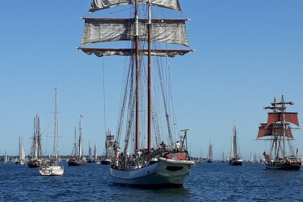 Windjammerparade – Kieler Woche 24 von La Lola Sailing