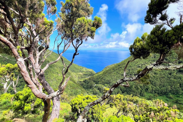 Azoren komplett – Sao Miguel nach Flores One Way von 