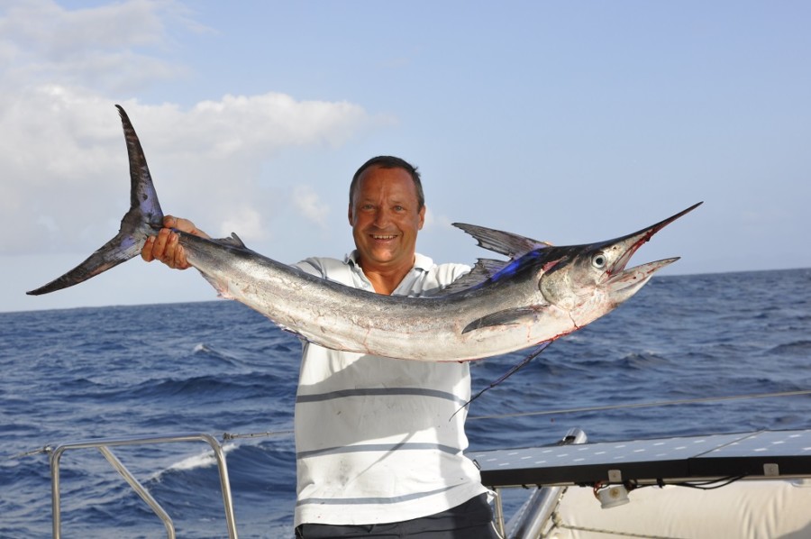 Caribbean – active sailing in an island paradise from