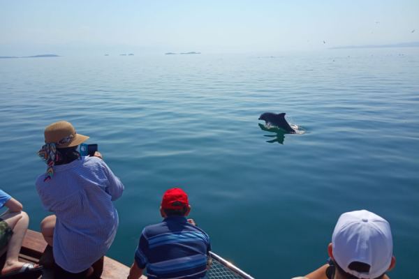 Delfintörn von Preveza nach Korfu von Segelreich