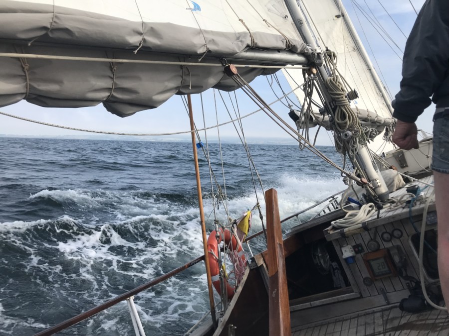 Midsummer trip to Møn, Copenhagen, by