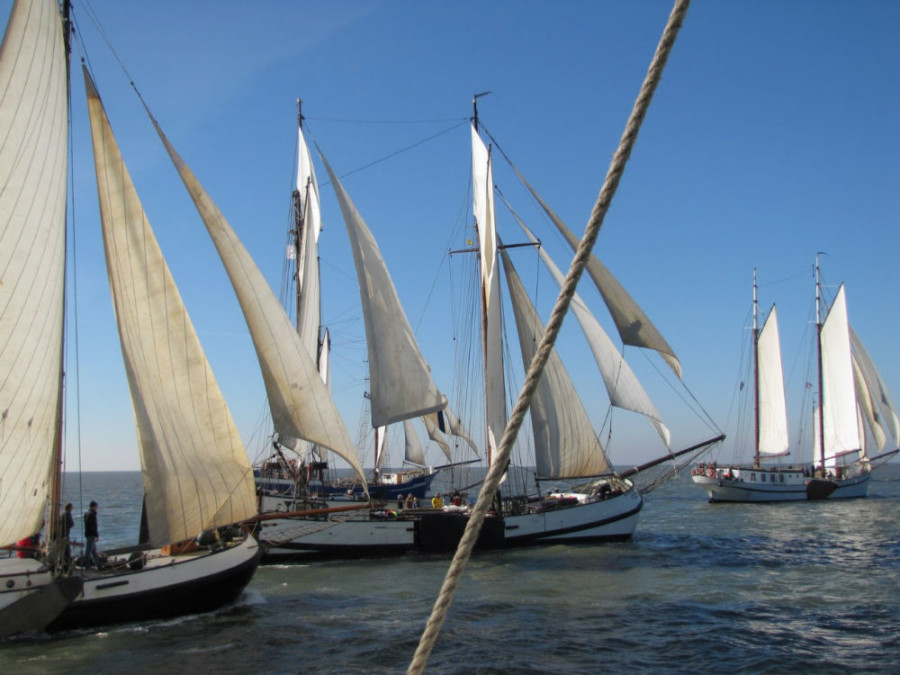 Traditional sailing regatta Brandaris-Race – Harlingen, Terschelling – 50+ participating vessels by