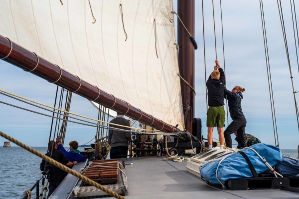 Hanse Sail Ahoy – Mitsegeln von Stralsund zur Hanse Sail nach Rostock – Rügen, Hiddensee von 