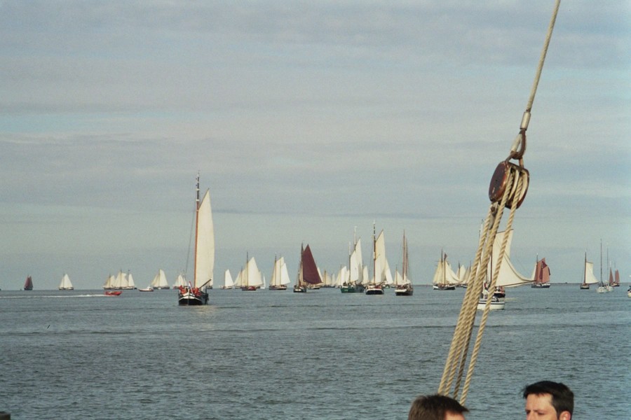 Traditional sailing regatta Brandaris-Race – Harlingen, Terschelling – 50+ participating vessels by Rederij van Linschoten