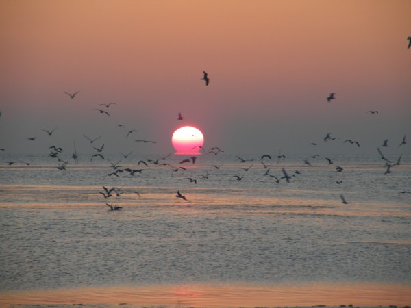 Herbst-Segelurlaub in den Niederlanden – Verlängertes Wochenende über den 03.Oktober von 