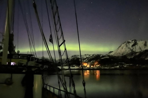 Arktis-Segeln auf der Spur von Orkas und Nordlichtern von 