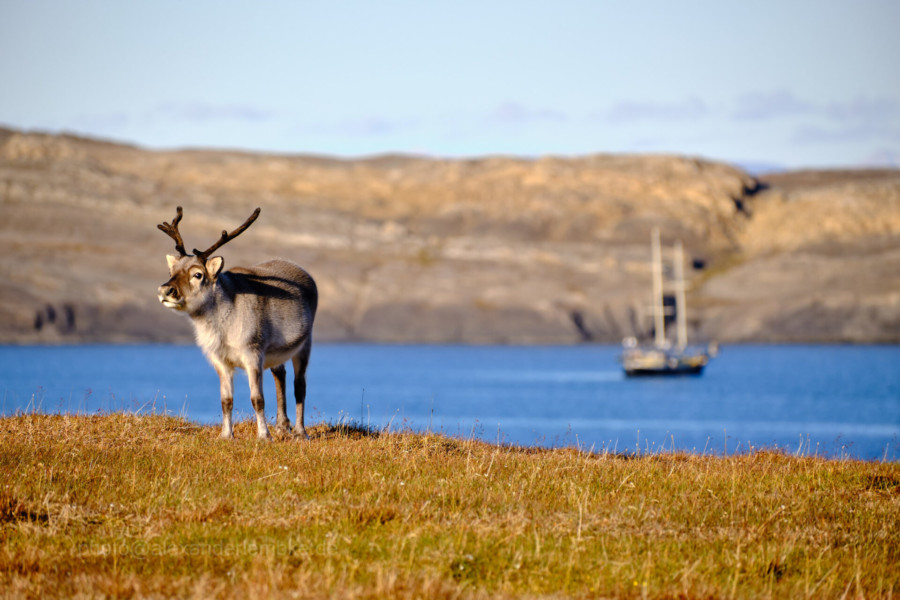 Rund um Spitzbergen | 16 Tage Arktis, Fjorde & Mitternachtssonne by