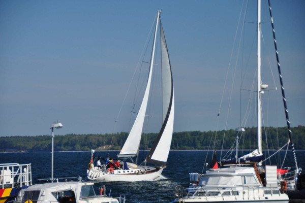 Aktiv Mitsegeln – Kieler Woche und Dänische Südsee von La Lola Sailing