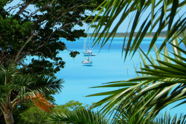 Guayana –  Grenada -Tobago – Grenadinen – Martinique One-Way auf Weltumsegleryacht von 