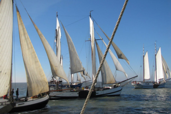 Rum-Regatta – Flensburger Traditionsseglerregatta (plus 2 Zubringerregatten) von 