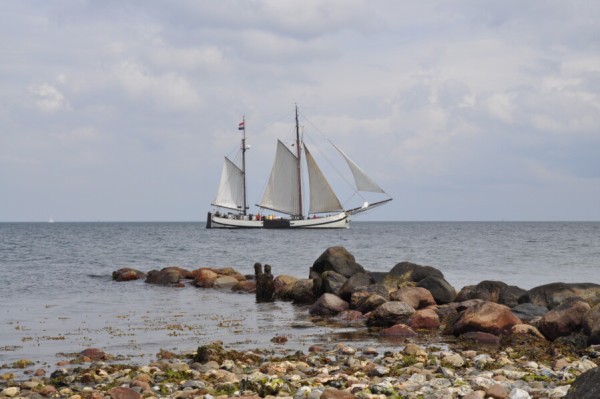Letzter Platz frei: Herbstsegeln rund Rügen & Hiddensee ab Stralsund von 