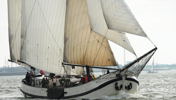 Rum Regatta – Traditionsseglerregatta zu Himmelfahrt – 5 Tage Segeln, 3 Regatten von 