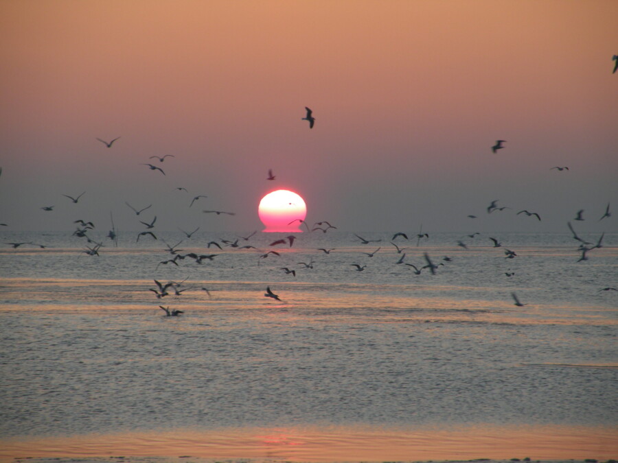 Sailing voyage North Sea–Baltic Sea | From Norddeich to Kiel via Wadden Sea, North Sea and Kiel Canal from