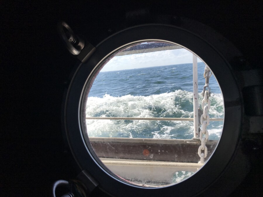 Adventure Sailing to Møn, Copenhagen by