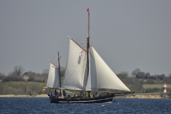 RumRegatta 2024 mit dem Traditionssegelschiff Albin  Köbis von 