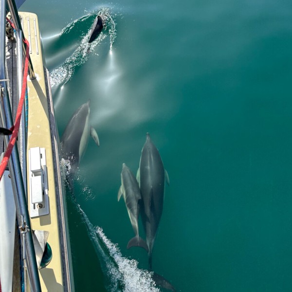 Mitsegeln auf den Kanarischen Inseln – Gran Canaria von 