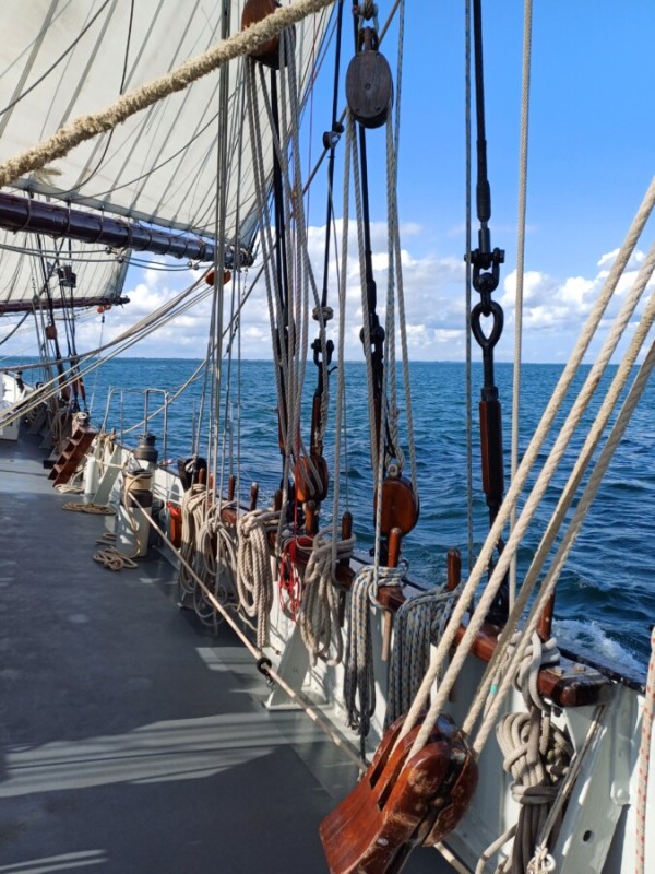 Hanse Sail Rostock, Freitag der 07.08.2026 Abendtörn von  18-22 Uhr von 