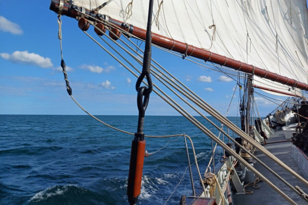 Traditionsschiff: Segelreise von Kopenhagen nach Göteborg von Traditionsschiff Iris