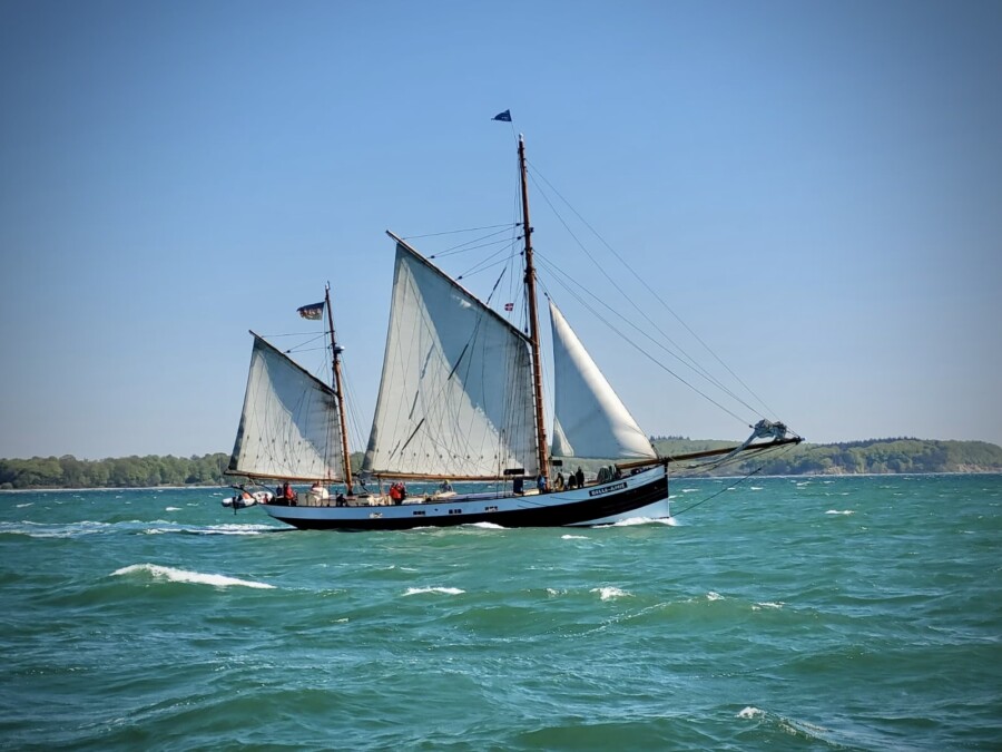 Regatta pur Segelerlebnis Rum Regatta , Herings+Flensburg Fjord