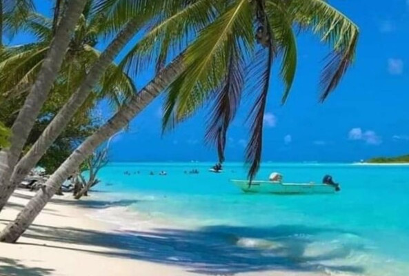 Karibik  Martinique – St-Lucia – St. Vincent – Tobago Cays von 