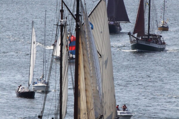 Hanse Sail Rostock – Tagesfahrt auf einem Tradtionssegler von 