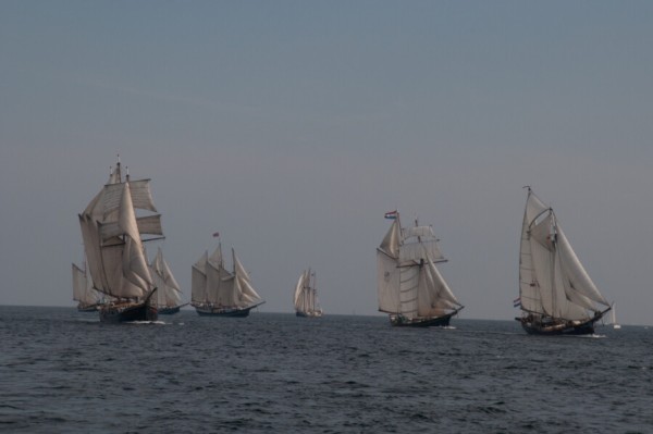 HANSE SAIL Tagesfahrt Samstag von Abel Tasman