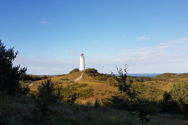 Tagestörn zur Insel Hiddensee am Pfingstwochenende –  Exklusivcharter möglich (8 Pers.) von 