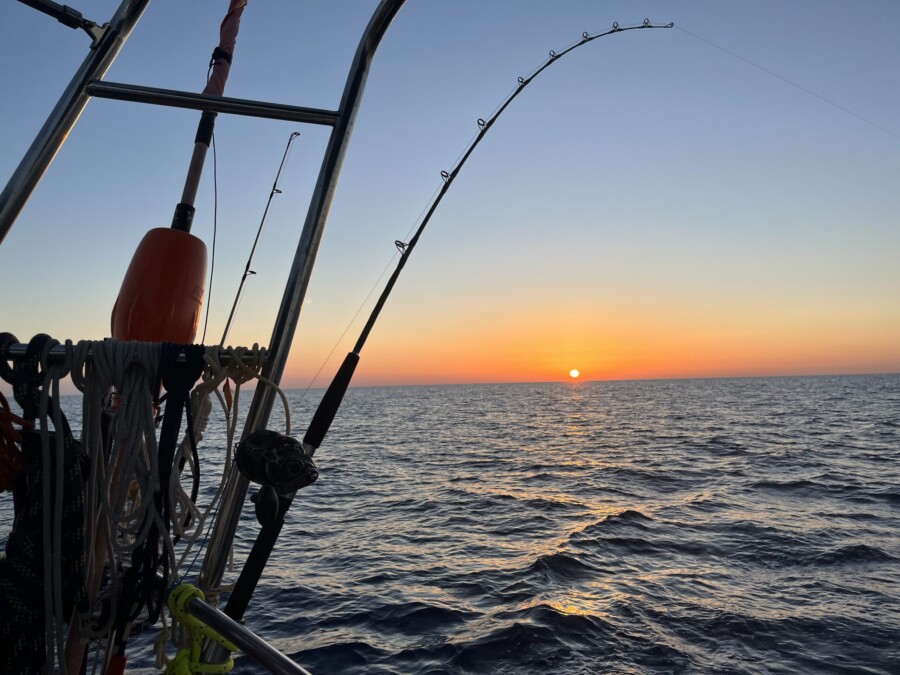 From Cagliari to Trapani by