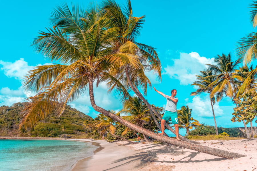 Caribbean sailing: off to paradise! by