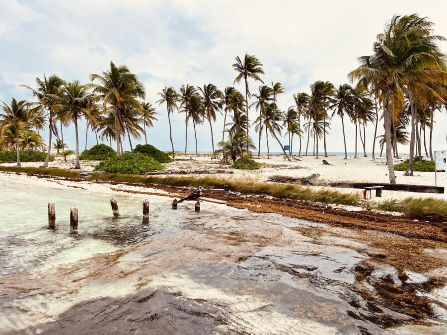 Winter Trip Caribbean 2027 – Belize by