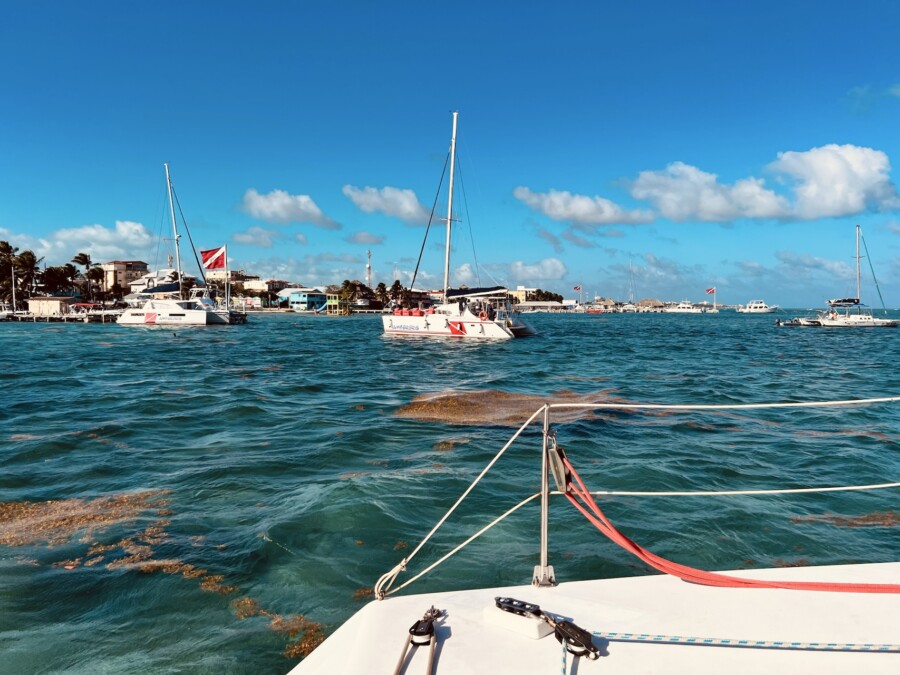 Winter Trip Caribbean 2027 – Belize by