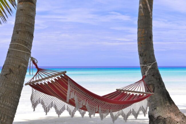 Caribbean hammock