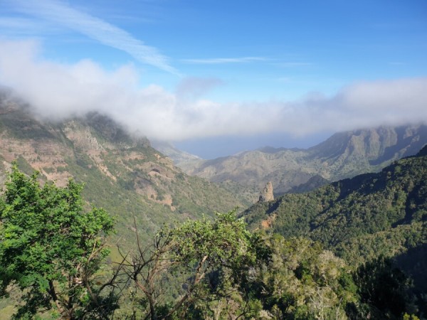 Frühbucher: Gay Segeltörn Kanarische Inseln / Teneriffa von 