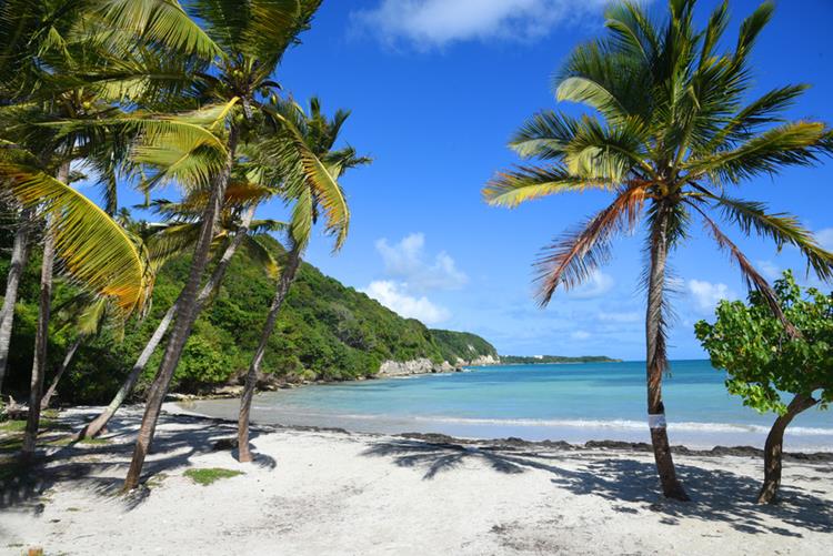 Island hopping: Martinique – Grenada – Martinique by Meridian-Yachting
