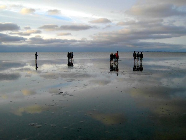 Sommertörn auf dem niederländischen Wattenmeer auf einem komfortablen Dreimaster von 