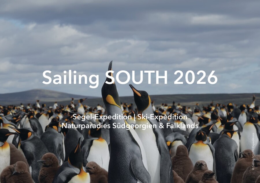 Sailing Expedition Southern Ocean in Shackleton's Footsteps – South Georgia and Falkland Islands from Sailing-SOUTH-2026
