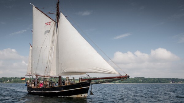 Sommertörn Stralsund – Flensburg mit unserem Traditionssegler Albin Köbis von 
